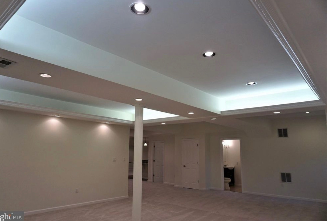 Basement Entertainment Area