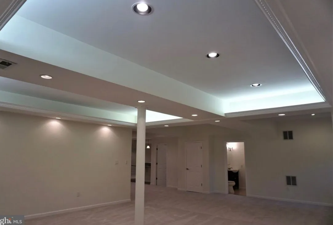 Basement Entertainment Area